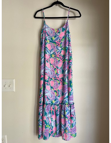 Dress Party Long By Lilly Pulitzer In Multi-colored, Size: Xxs ouvre sa boutique